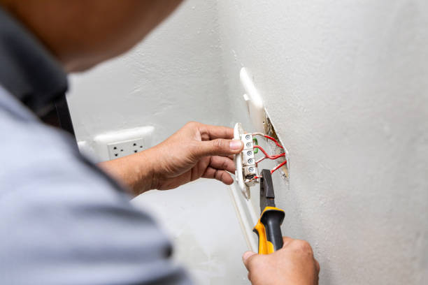 Best Local Electrician Companies  in Pleasureville, PA