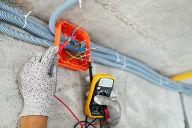 Best Licensed Electrician  in Pleasureville, PA